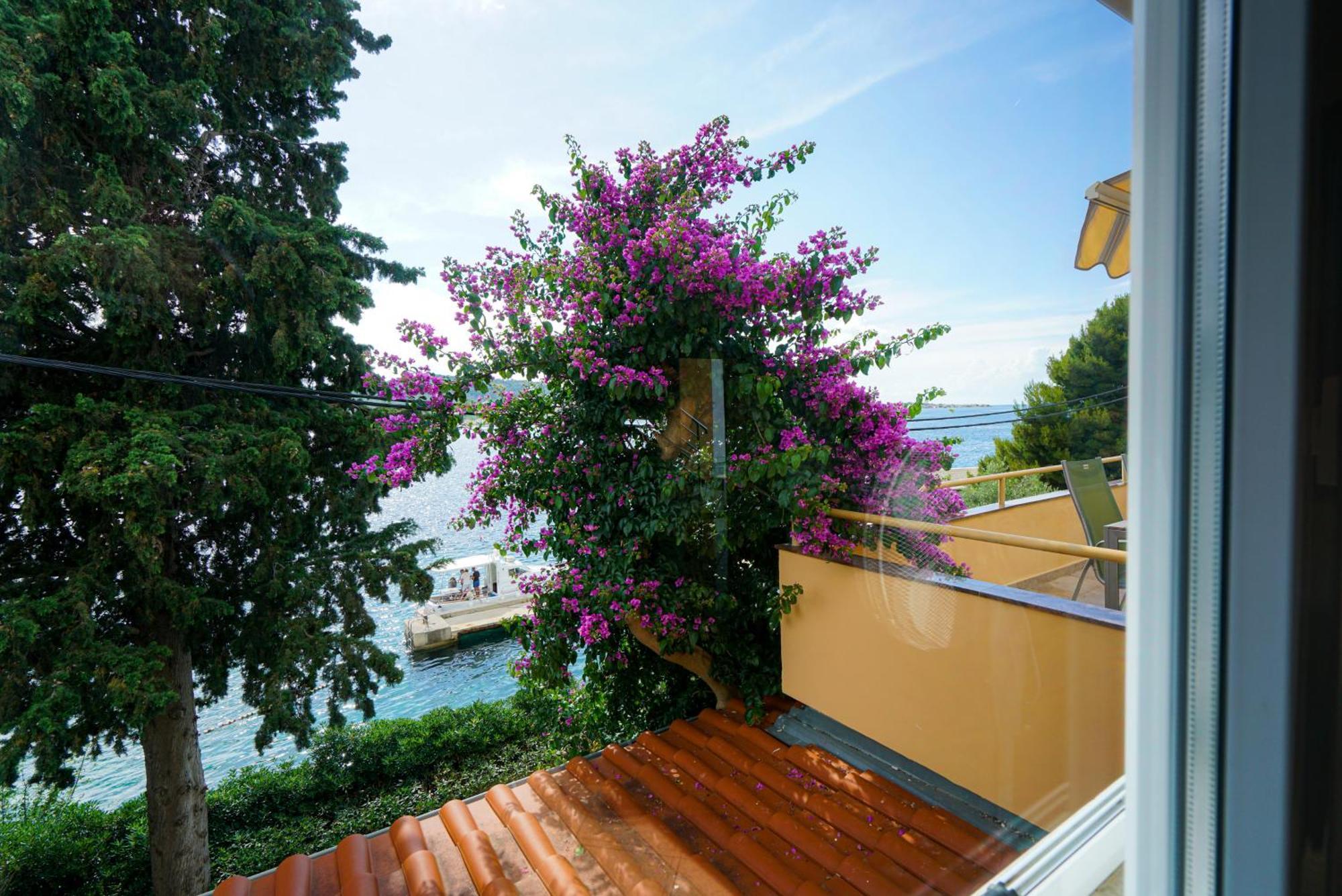 Apartments Osljak Preko Εξωτερικό φωτογραφία